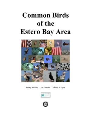 Common Birds of the Estero Bay Area