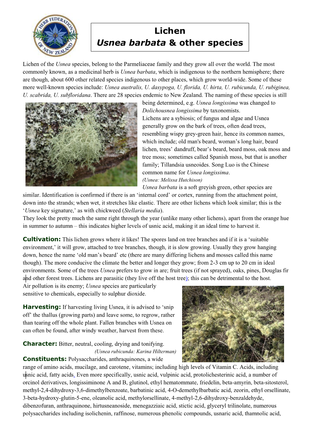 Lichen Usnea Barbata & Other Species