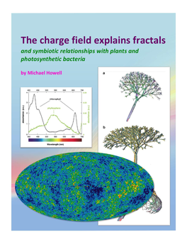 The Charge Field Explains Fractals