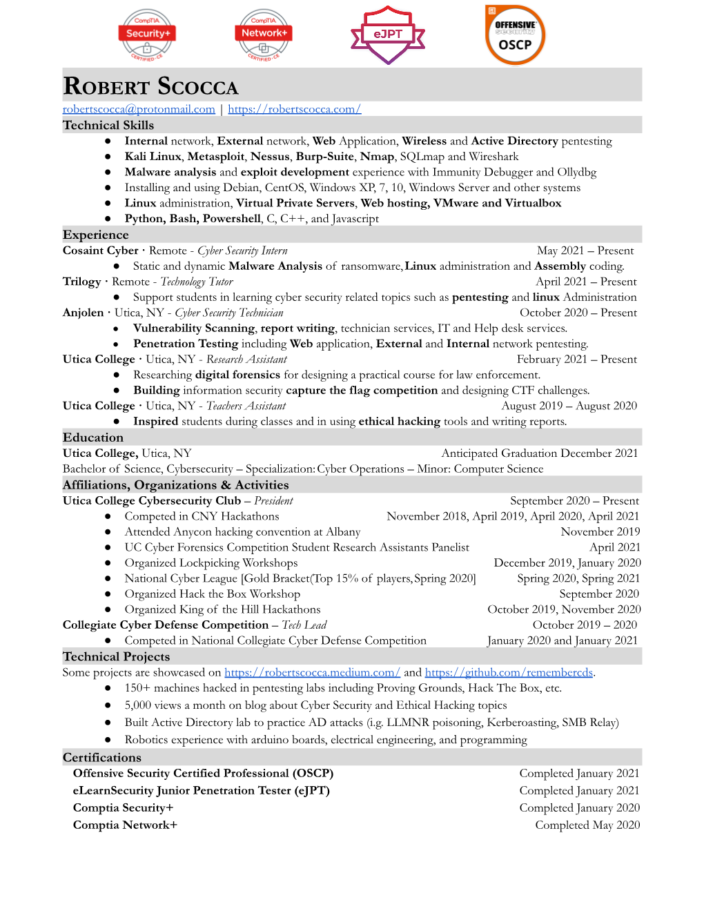 Robert Scocca Resume