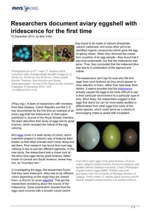 Researchers Document Aviary Eggshell with Iridescence for the First Time 10 December 2014, by Bob Yirka