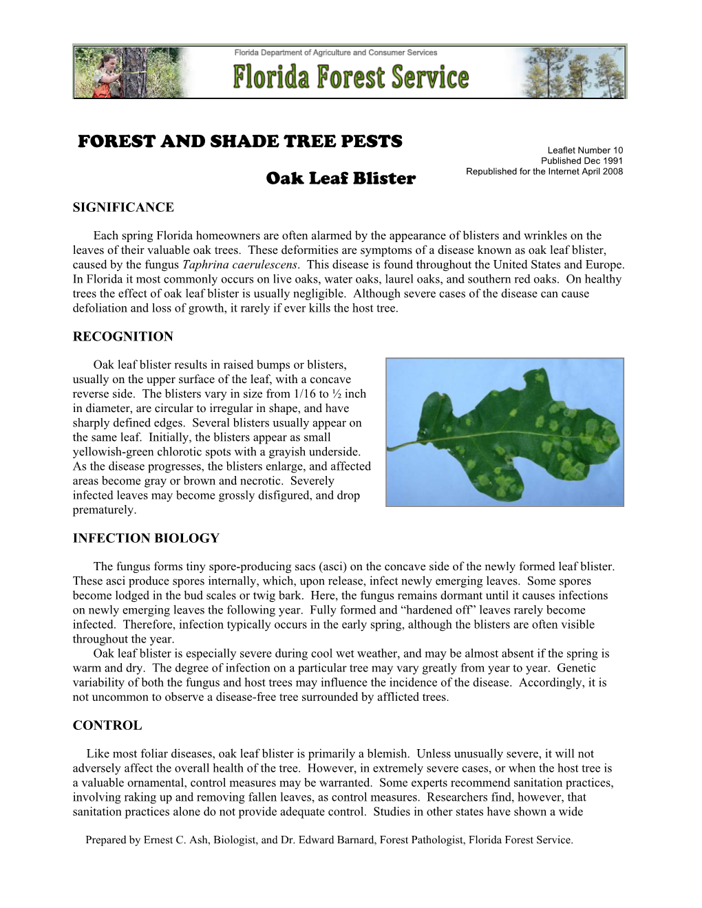 FOREST and SHADE TREE PESTS Oak Leaf Blister