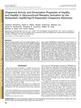 Chaperone Activity and Dimerization Properties of Hsp90α and Hsp90β