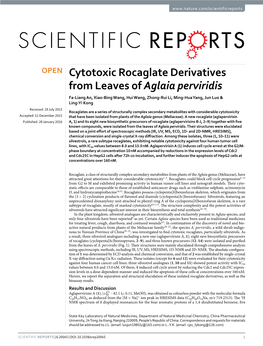 Cytotoxic Rocaglate Derivatives from Leaves of Aglaia Perviridis