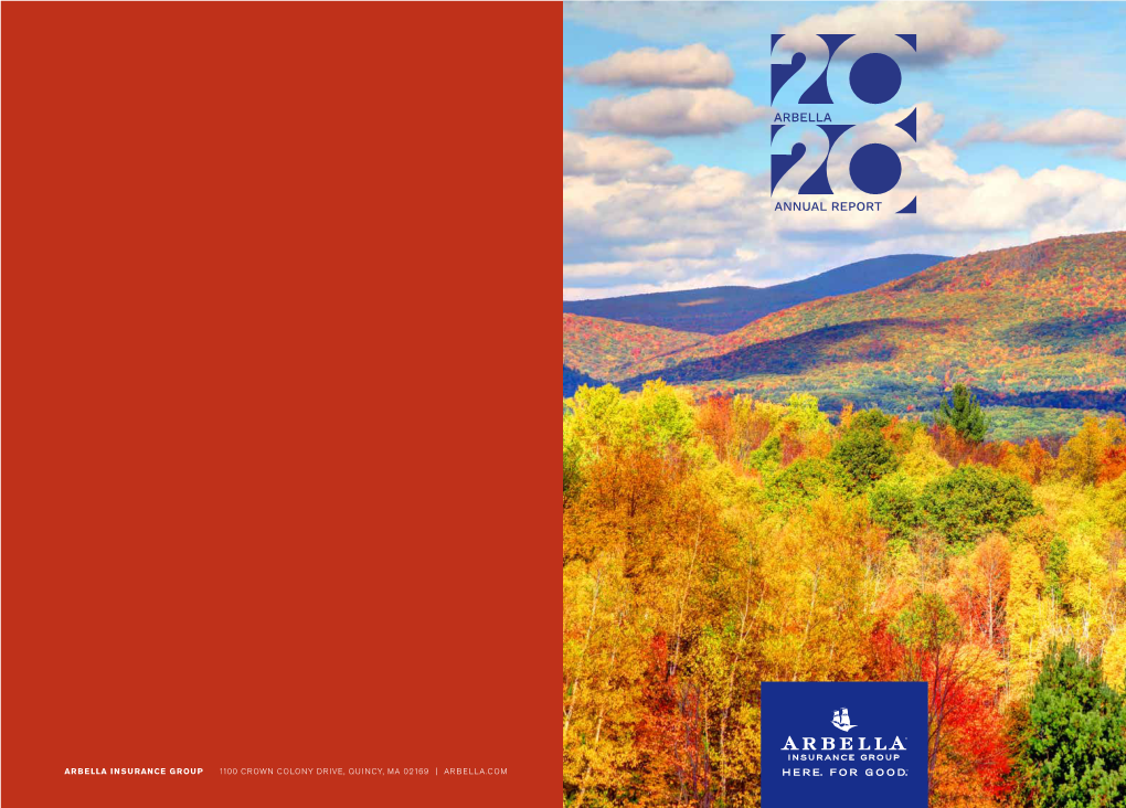 2020 Arbella Annual Report