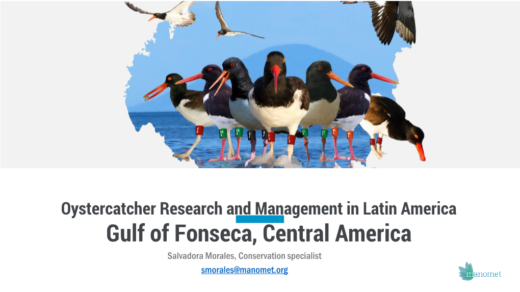 Gulf of Fonseca, Central America Salvadora Morales, Conservation Specialist Smorales@Manomet.Org Golfo De Fonseca Nicaragua, Honduras and El Salvador