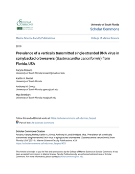 Prevalence of a Vertically Transmitted Single-Stranded DNA Virus in Spinybacked Orbweavers (Gasteracantha Cancriformis) from Florida, USA