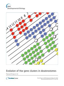 Evolution of Hox Gene Clusters in Deuterostomes Pascual-Anaya Et Al