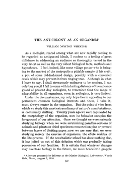 The Ant-Colony As an Organism 309