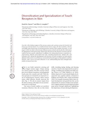 Diversification and Specialization of Touch Receptors in Skin