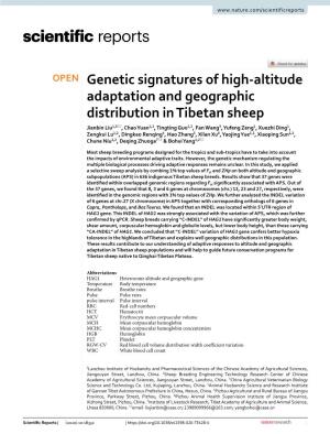 Genetic Signatures of High-Altitude Adaptation and Geographic
