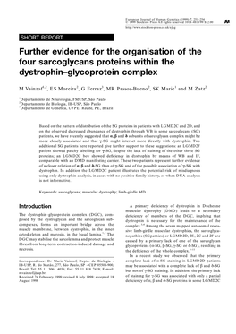 Further Evidence for the Organisation of the Four Sarcoglycans Proteins Within the Dystrophin–Glycoprotein Complex