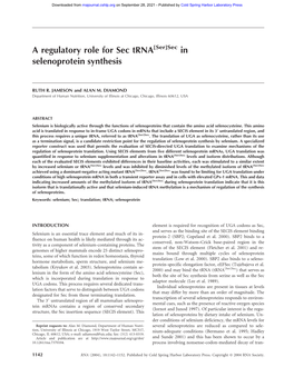 A Regulatory Role for Sec Trna in Selenoprotein Synthesis