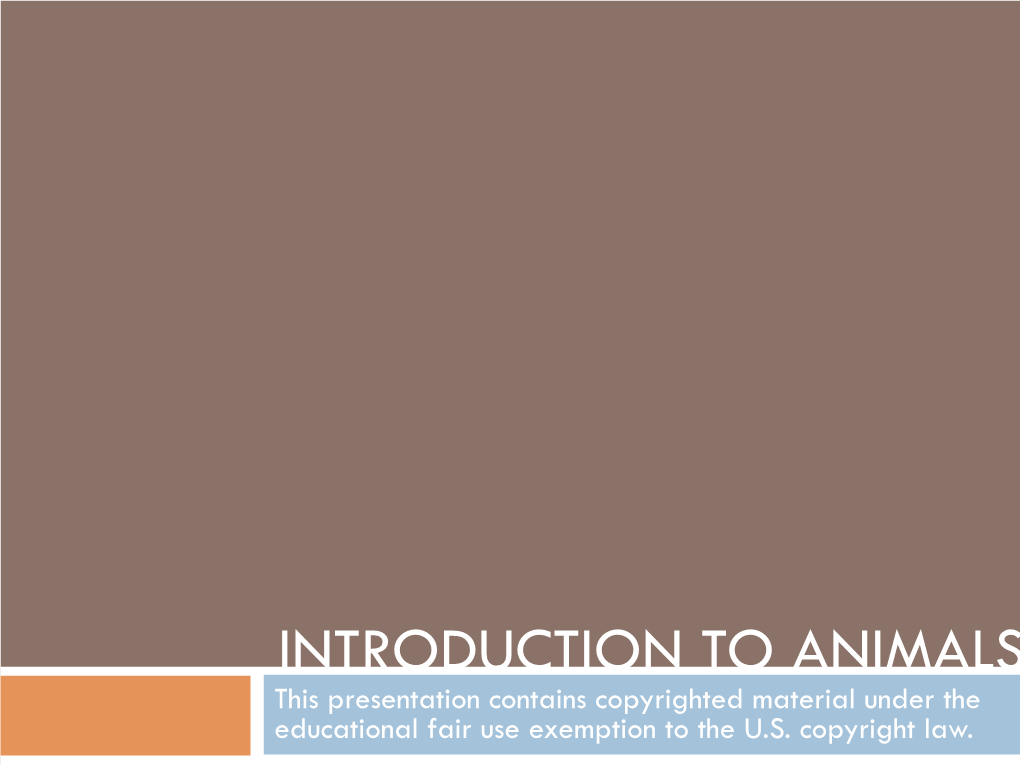 INTRODUCTION to ANIMALS This Presentation Contains Copyrighted Material Under the Educational Fair Use Exemption to the U.S