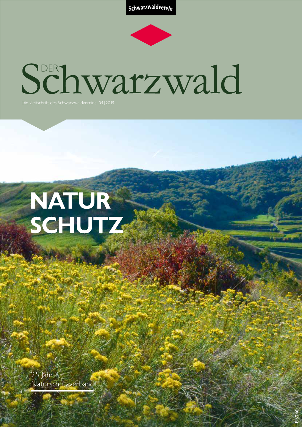 Ausgabe 4/2019