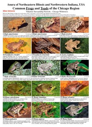Common Frogs and Toads of the Chicago Region