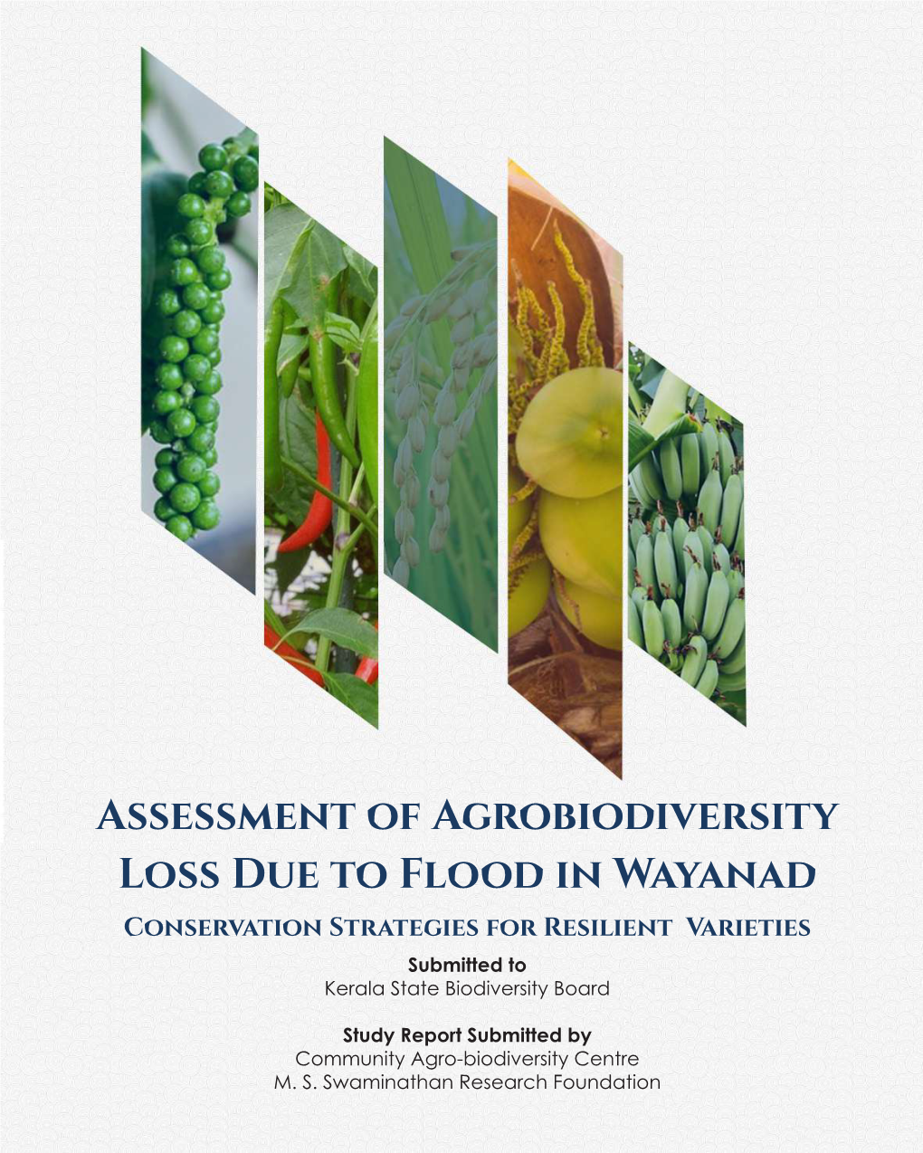 Assessment of Agrobiodiversity Loss Due to Flood in Wayanad Conservation Strategies for Resilient Varieties Submitted to Kerala State Biodiversity Board