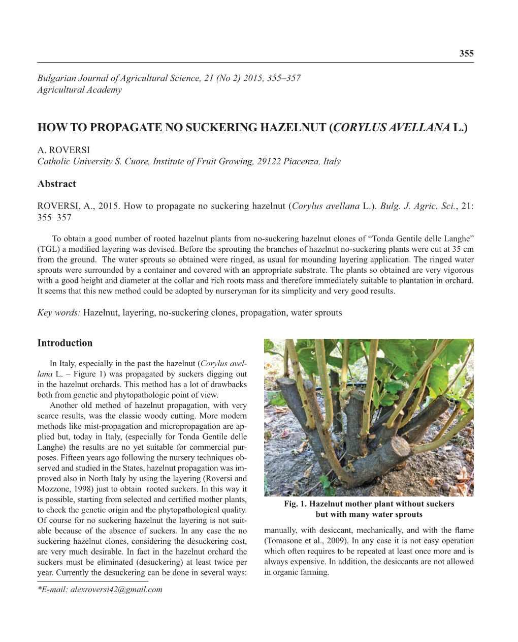 How to Propagate No Suckering Hazelnut (Corylus Avellana L.)