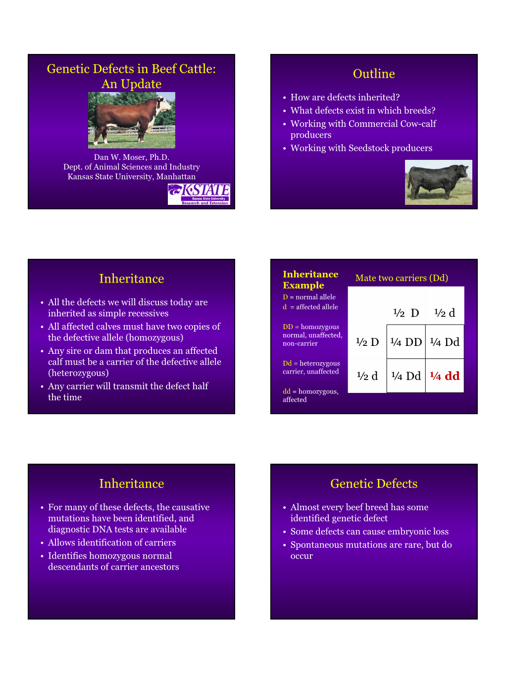 Genetic Defects in Beef Cattle