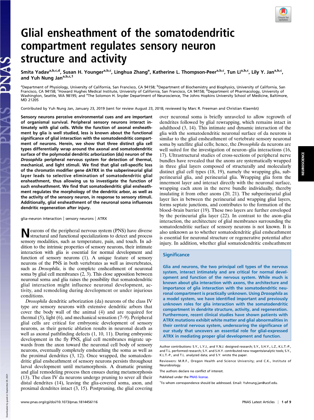 Glial Ensheathment of the Somatodendritic Compartment Regulates Sensory Neuron Structure and Activity