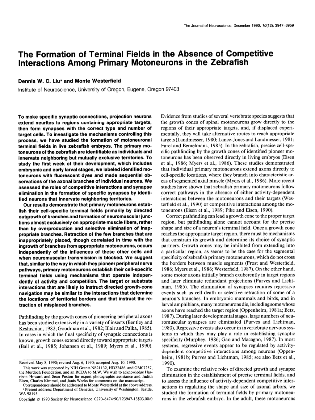 The Formation of Terminal Fields in the Absence of Competitive Interactions Among Primary Motoneurons in the Zebrafish