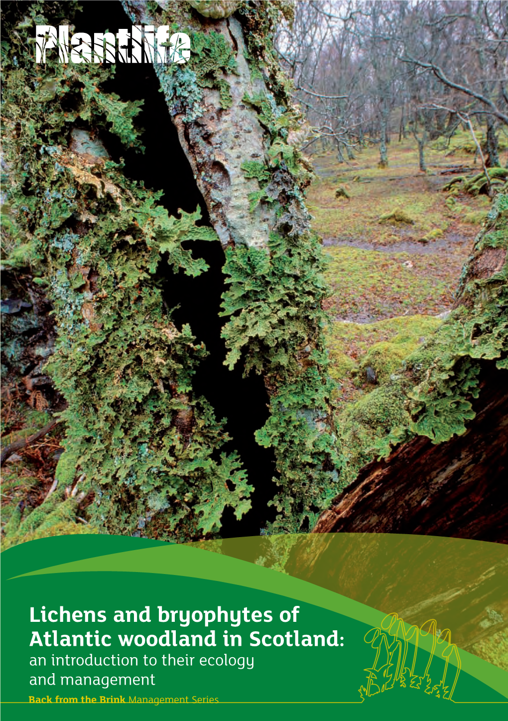 Lichens and Bryophytes of Atlantic Woodland in Scotland