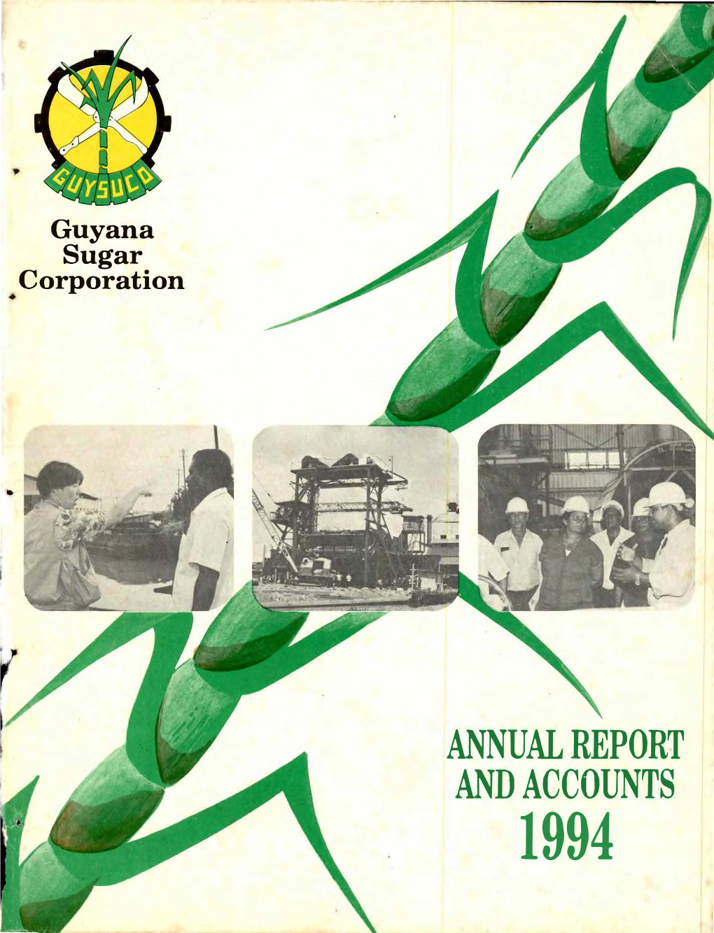 Annual Report and Accounts