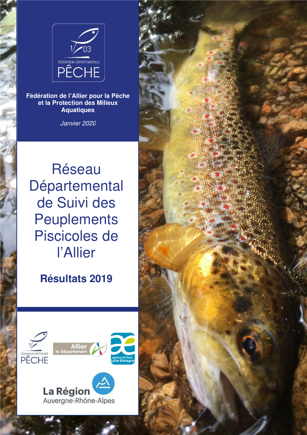 Rapport RSPP03 2019 Web