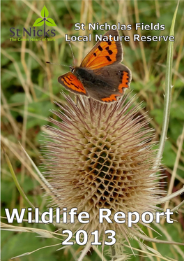 2013 St Nicks Wildlife Report