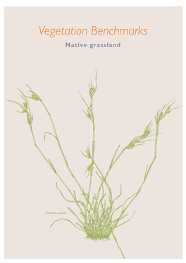 Vegetation Benchmarks Native Grassland