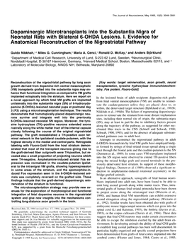 Dopaminergic Microtransplants Into the Substantia Nigra of Neonatal Rats with Bilateral 6-OHDA Lesions