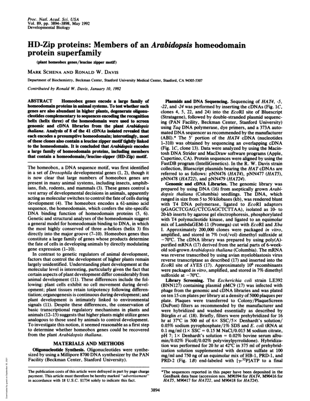 Members of an Arabidopsis Homeodomain Protein Superfamily (Plant Homeobox Genes/Leucine Zipper Motif) MARK SCHENA and RONALD W