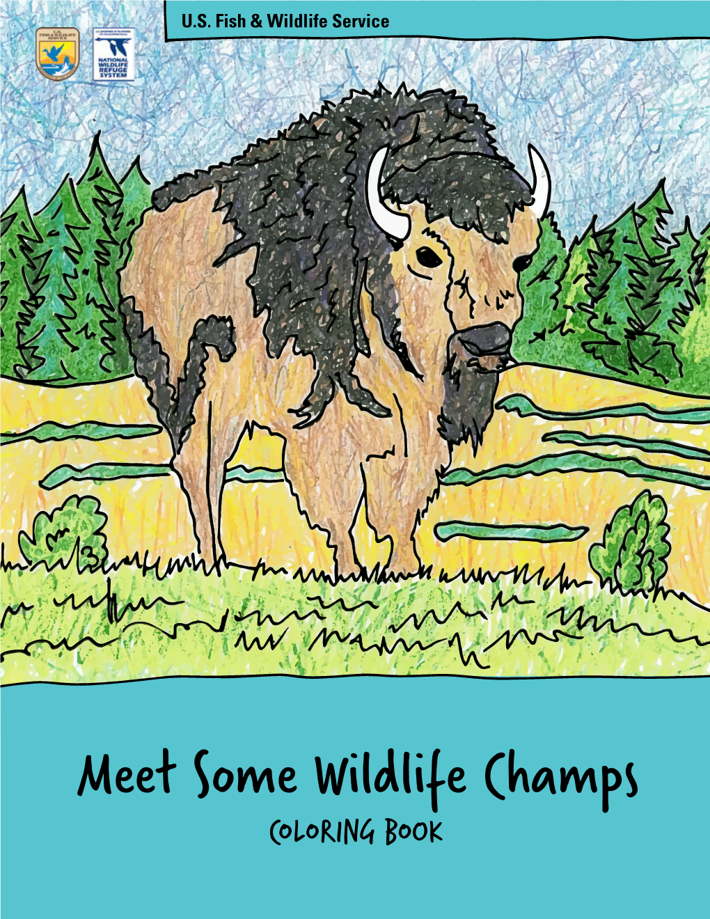 Meet Some Wildlife Champs COLORING BOOK Which Animal Has the Thickest Fur?