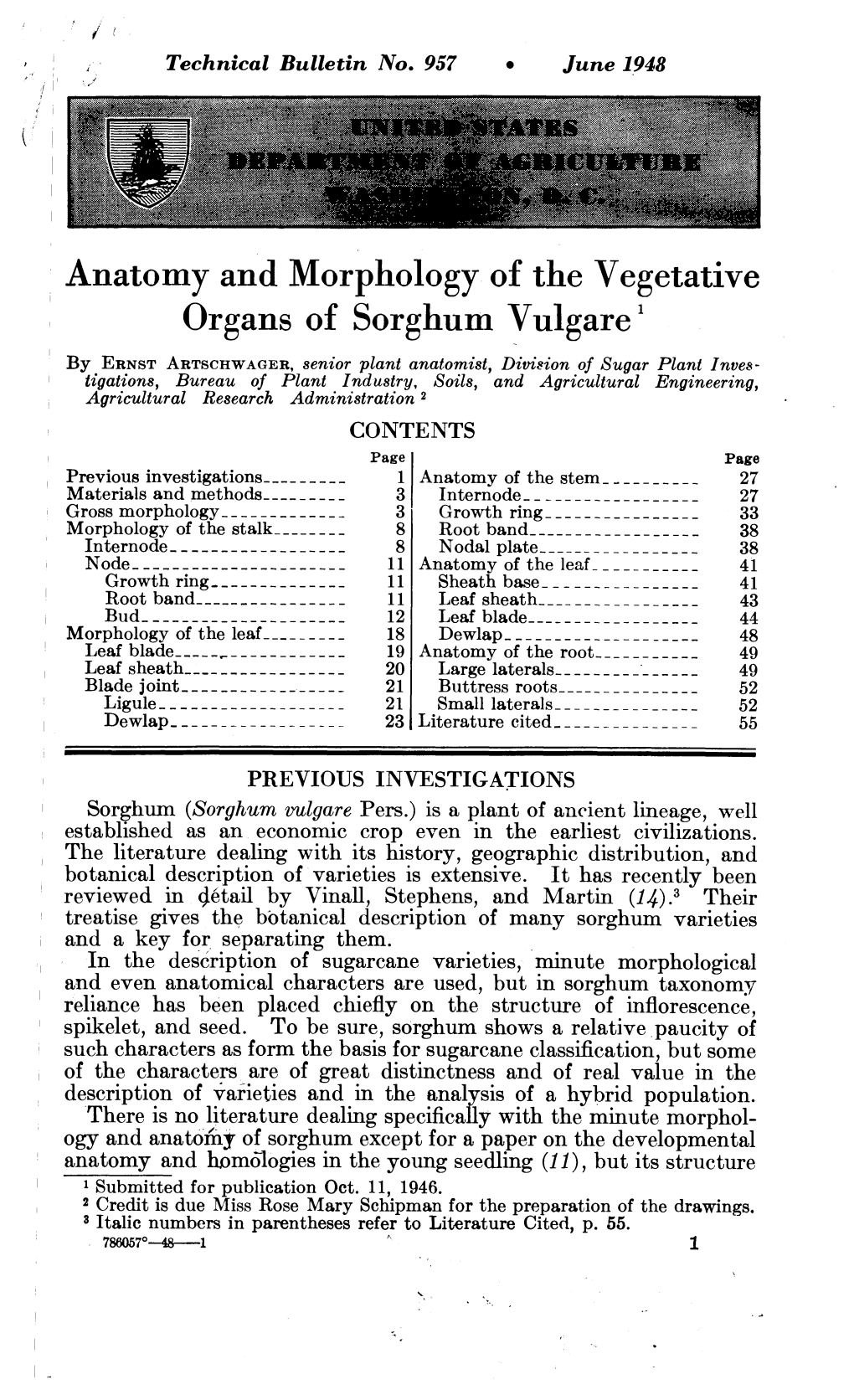 Anatomy and Morphology of the Vegetative Organs of Sorghum Vulgäre'