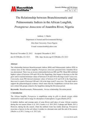 The Relationship Between Branchiosomatic and Pulmosomatic Indices in the African Lungfish, Protopterus Annectens of Anambra River, Nigeria