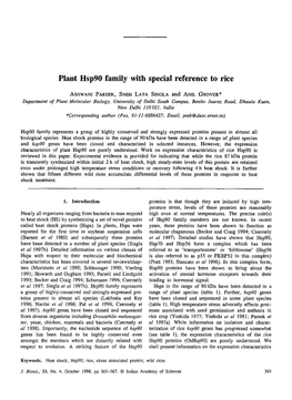 Plant Hsp90 Family with Special Reference to Rice
