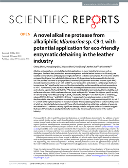 A Novel Alkaline Protease from Alkaliphilic Idiomarina Sp. C9-1 With