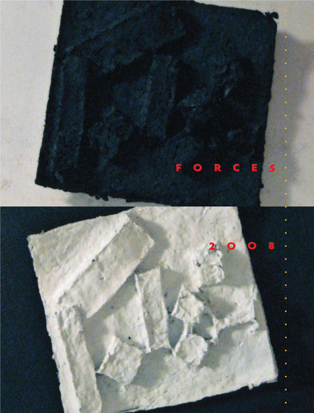 Forces2008.Pdf