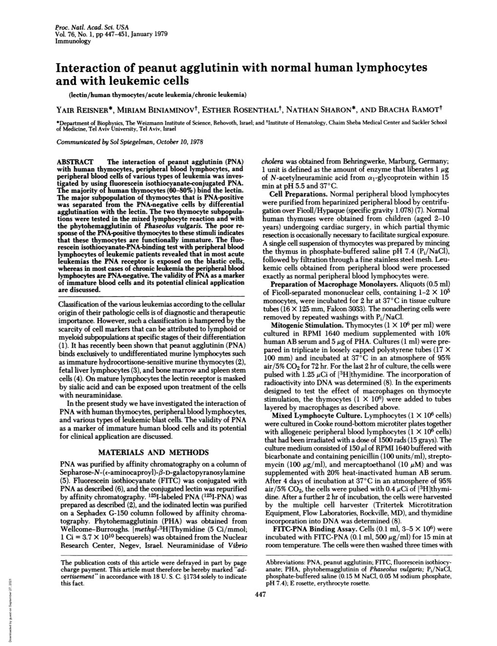 Interaction of Peanut Agglutinin with Normal Human Lymphocytes And