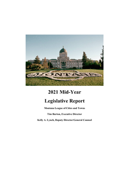 2021 Mid-Year Legislative Report
