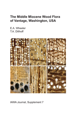 The Middle Miocene Wood Flora of Vantage, Washington, USA