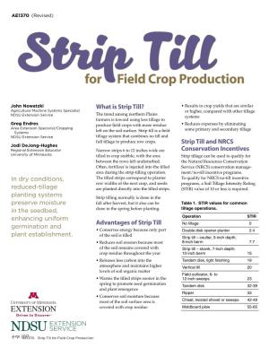 Strip Till for Field Crop Production