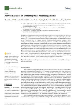 Amylomaltases in Extremophilic Microorganisms