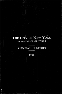 4303Annual Report Nyc Dept P