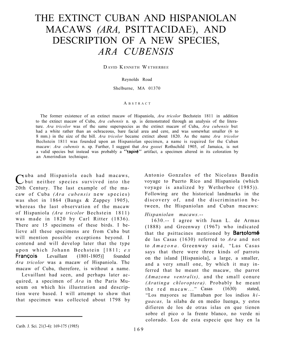 The Extinct Cuban and Hispaniolan Macaws (Ara, Psittacidae), and Description of a New Species, Ara Cubensis