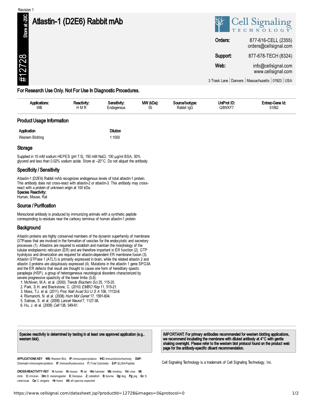 12728 Atlastin-1 (D2E6) Rabbit Mab