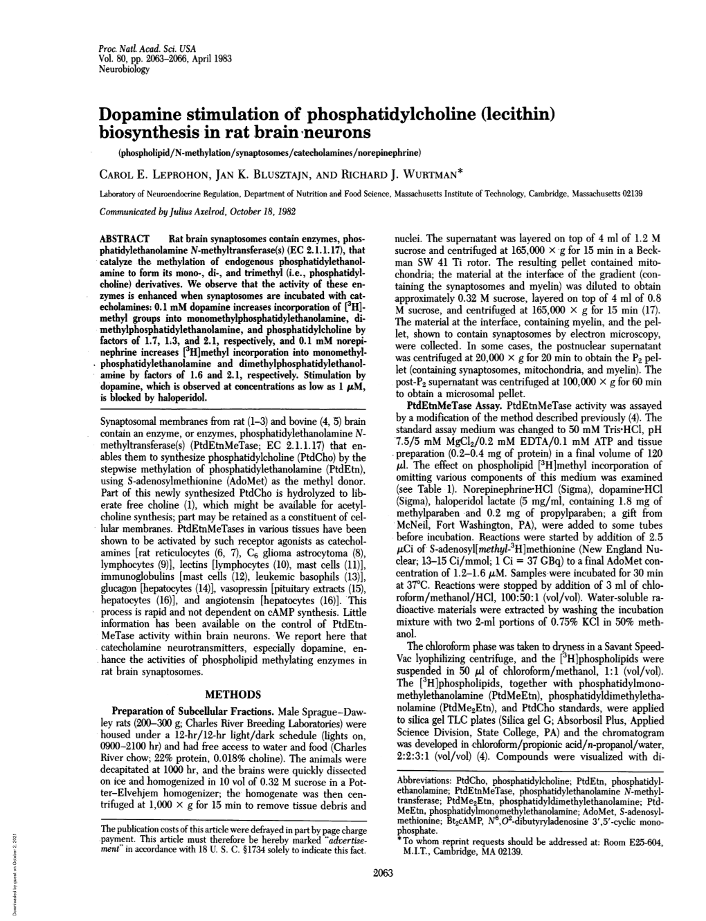 Lecithin) Biosynthesis in Rat Brain Neurons (Phospholipid/N-Methylation/Synaptosomes/Catecholamines/Norepinephrine) CAROL E