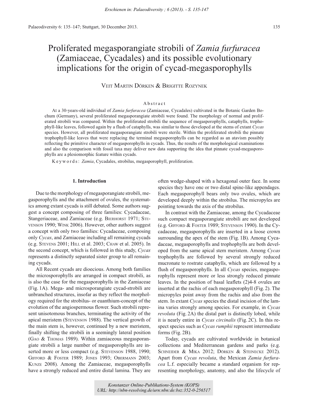 Proliferated Megasporangiate Strobili of Zamia Furfuracea (Zamiaceae, Cycadales) and Its Possible Evolutionary Implications for the Origin of Cycad-Megasporophylls