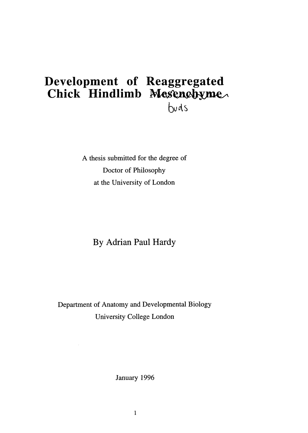 Development of Reaggregated Chick Hindlimb