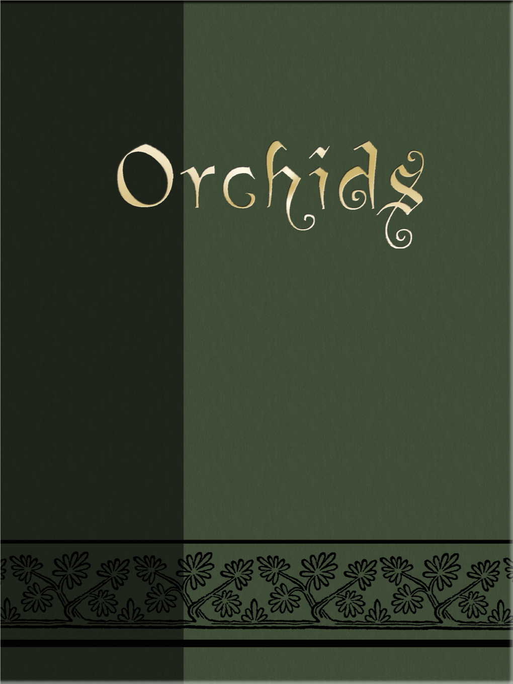 Orchids of New England